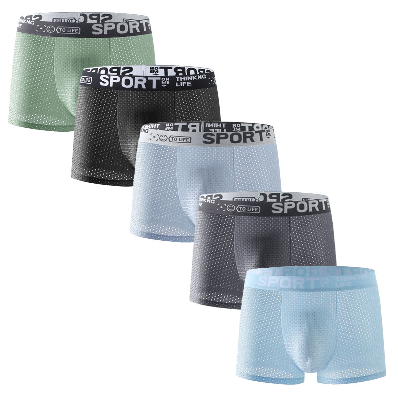 Mesh Sport Boxer - 남성용 아이스 실크 메쉬 팬티 5종