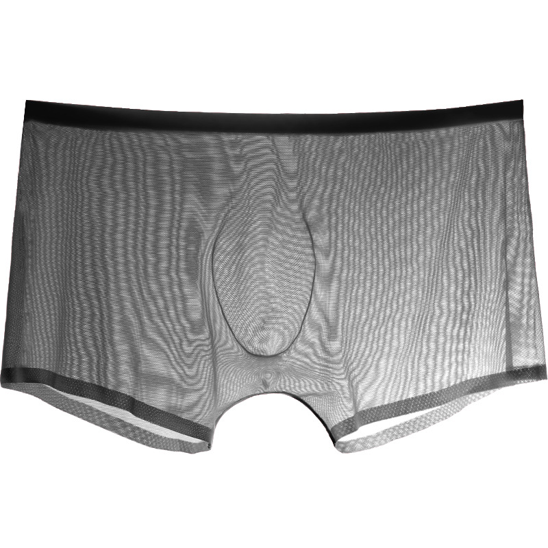 남성용 시스루 팬티, 핫한 남성을 위한 튤 비키니, 통 - Trunk Breathable Men 리뷰 및 가격