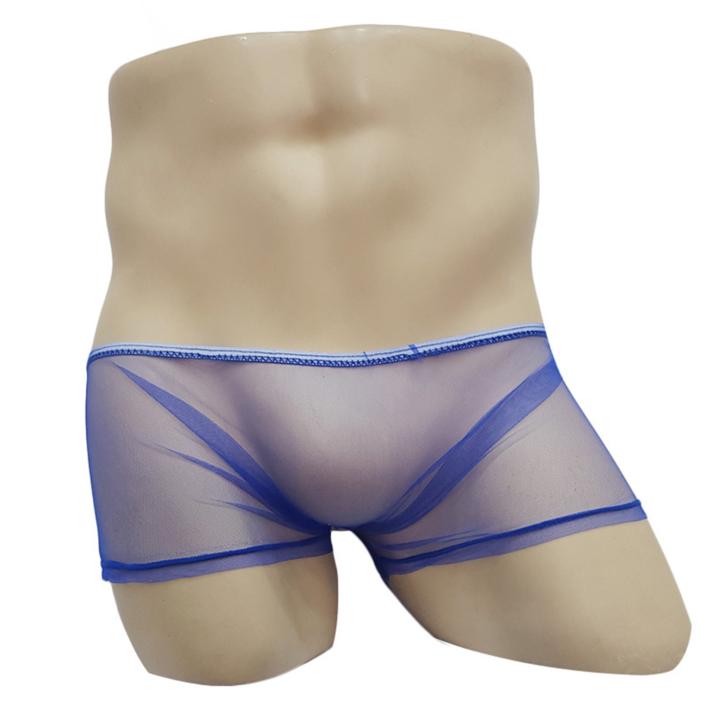 남성용 시스루 팬티, 핫한 남성을 위한 튤 비키니, 통 - Trunk Breathable Men 리뷰 및 가격