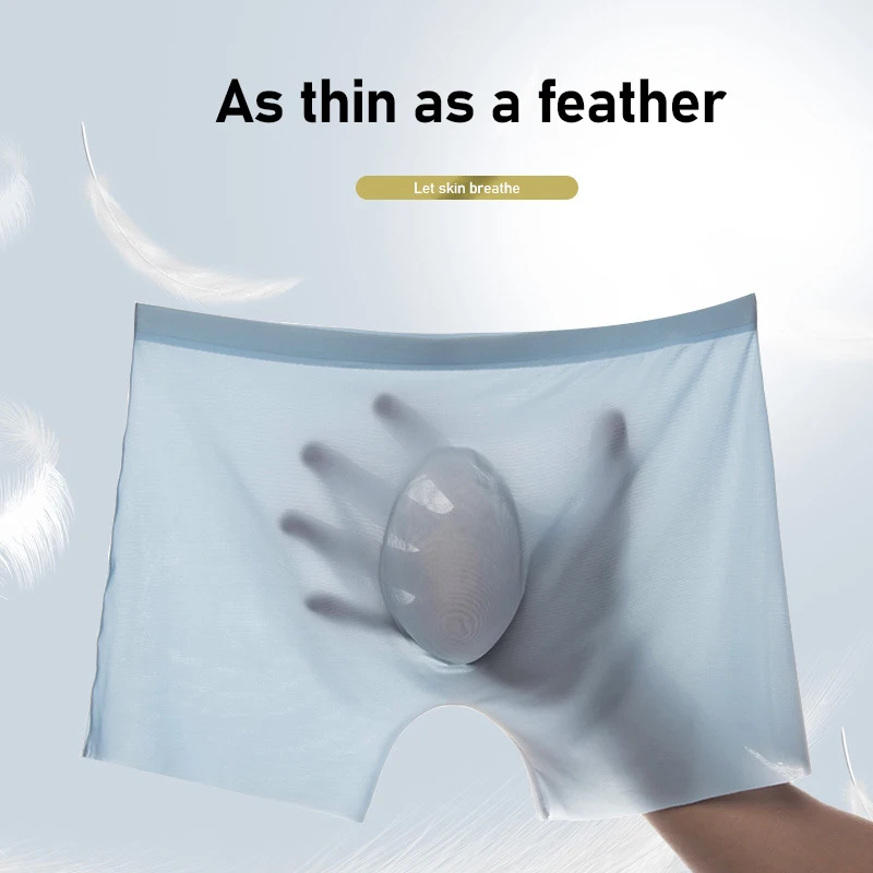 10 개/몫 남자 여름 얼음 실크 복서 팬티 원활한 속 - Multi Pack Underwear 리뷰 및 가격