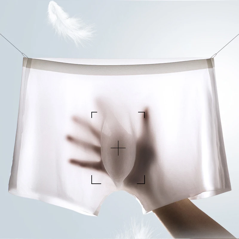 10 개/몫 남자 여름 얼음 실크 복서 팬티 원활한 속 - Multi Pack Underwear 리뷰 및 가격