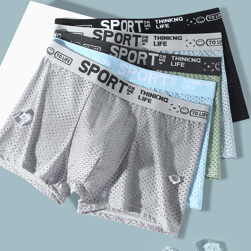 남성용 아이스 실크 메쉬 팬티 5종 세트, 섹시하고 통 - Mesh Sport Boxer 리뷰 및 가격