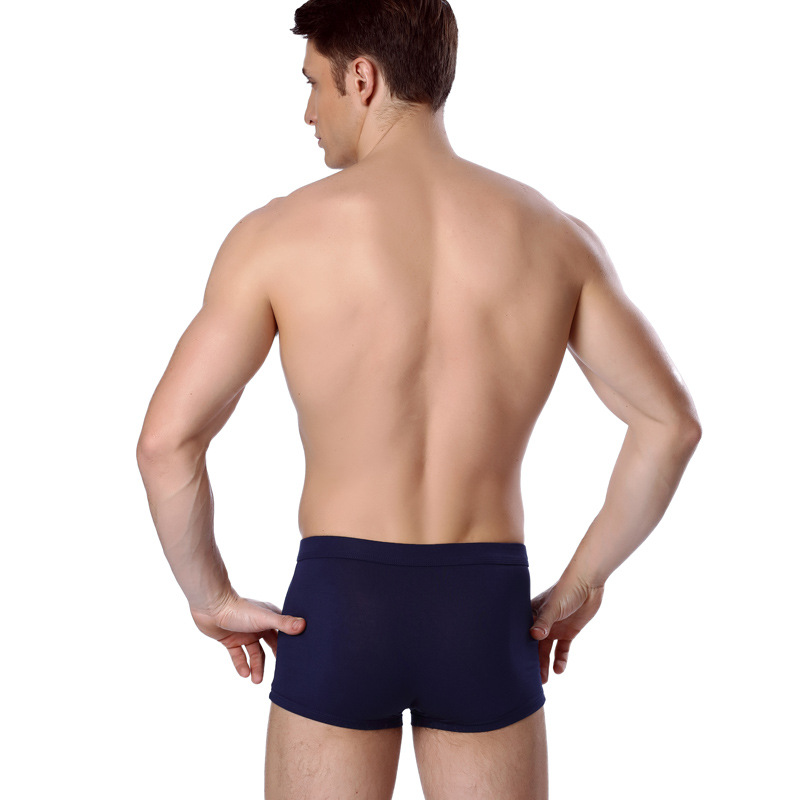 남자 복서 속옷, 여름 아이스 네트워크 메쉬, 통기성  - Boxer Shorts Modal 리뷰 및 가격
